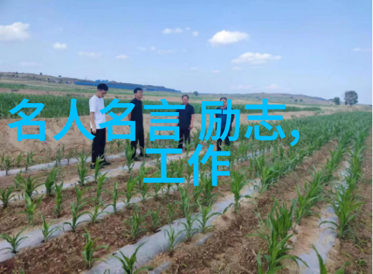 狂人日记中的哲学探索疯狂与理性的交响曲