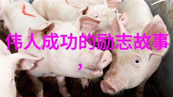 韩琦名言